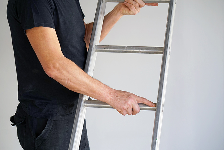 Ladder Association Ladder User & Inspector