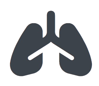 lungs icon