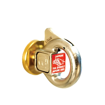 Pushlock Eyebolt